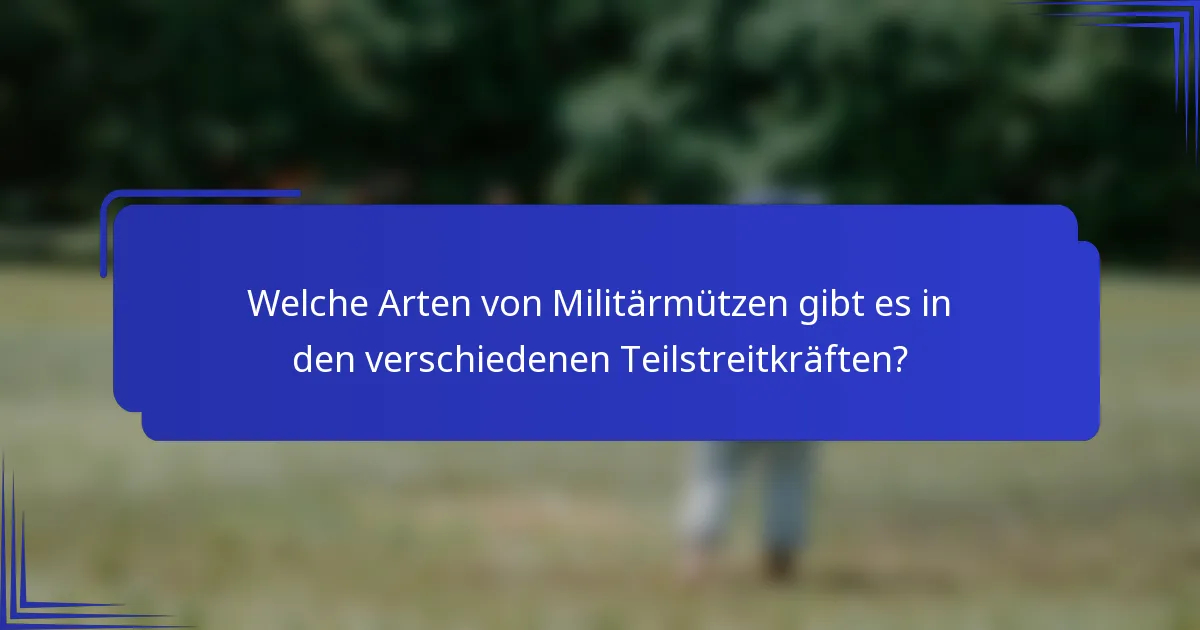 Welche Arten von Militärmützen gibt es in den verschiedenen Teilstreitkräften?