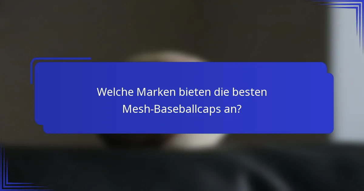 Welche Marken bieten die besten Mesh-Baseballcaps an?